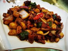 肥肠-西新饭店(城中店)