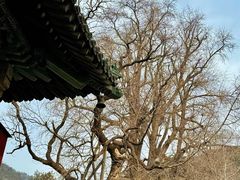 -潭柘寺景区