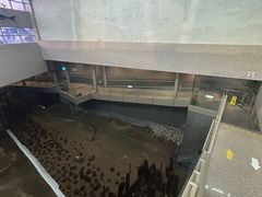 -元代水闸遗址博物馆
