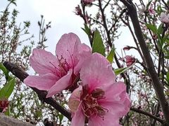 -汉长安城未央宫国家考古遗址公园