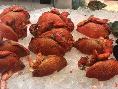 -上海新发展亚太JW万豪酒店