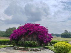 -凯邦亚湖风景区