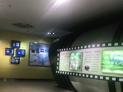-上海昆虫博物馆