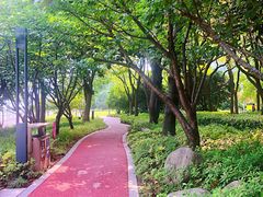 -北外滩滨江绿地