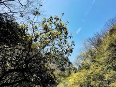 -白云源风景区