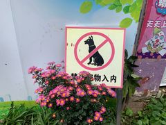 -昆明动物园