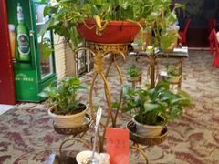 -陇菜和盛祥(金轮宾馆店)