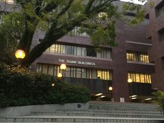 -香港大学