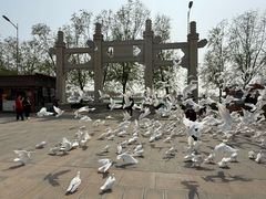 -天津妈祖文化园