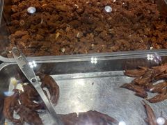 -乔波食品(杜桥中心菜场店)