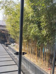 -爱儿美儿童摄影(朝阳公园店)