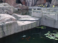iphone_upload_pic-蛇蟠岛