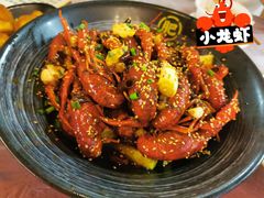 油焖大虾-肥肥虾庄·金牌油焖大虾(汉口城市广场店)