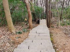 -九曜山