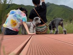 -石棉县孟获城