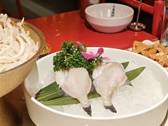 -小龙坎火锅(全球旗舰店)