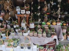 -循礼门鲜花花市(武汉循礼门店)