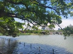 -江心屿景区
