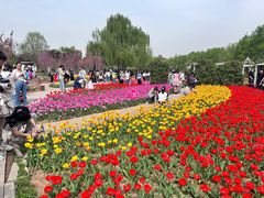 -石家庄市植物园