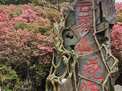 -木兰云雾山