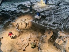 -自贡恐龙博物馆