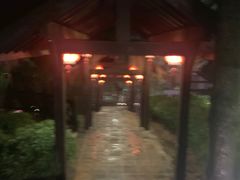 -崇阳三特浪口温泉