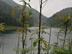 -武陵山森林公园
