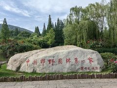 -习家池