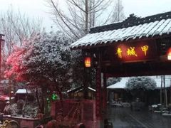 -青城甲(青城山店)