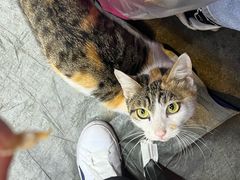 -储奇门鳝鱼火锅(总店)