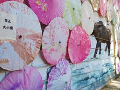 -雪山彩虹谷景区