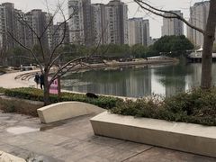 -新江湾城公园