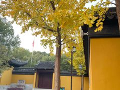 -西园戒幢律寺