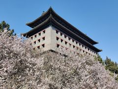 -北京明城墙遗址公园