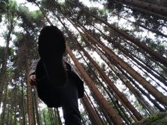 -山王坪喀斯特国家生态公园
