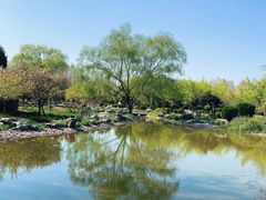 -石家庄市植物园
