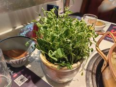 -牛村来人潮汕牛肉火锅(西单店)