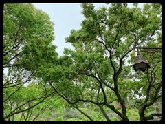 -普陀山风景名胜区-法雨禅寺