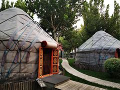 -九十九顶毡房(阜石路店)