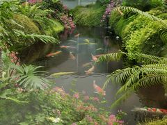 -罗红摄影艺术馆