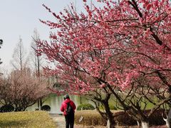 -白塘生态植物园