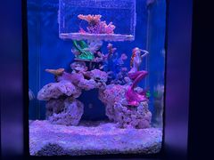 -上海海昌海洋公园