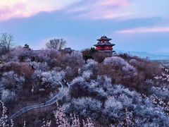 -香山公园