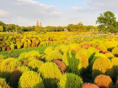 -花开海上生态园
