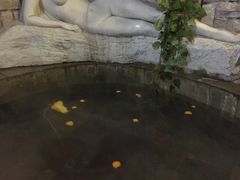 -北京美神宫艺术主题温泉酒店