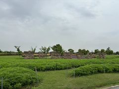 -嘉北郊野公园