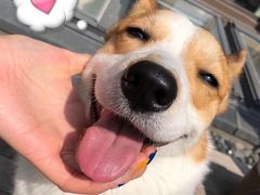 -旺泉餐饮店·清真牛肉面馆