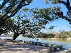-江心屿景区