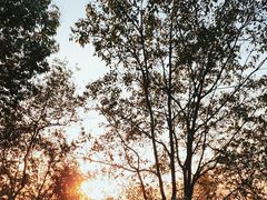 -火炉山森林公园