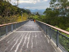 -金鸡山公园
